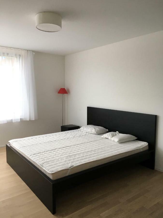Close To Zuerich Centre And Airport Kloten Buitenkant foto